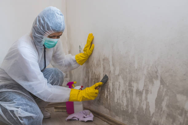 Best Crawl Space Mold Removal  in Edna, TX