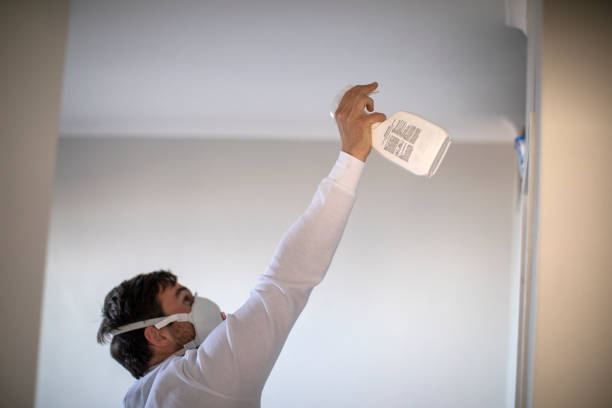 Best Same-Day Mold Removal  in Edna, TX