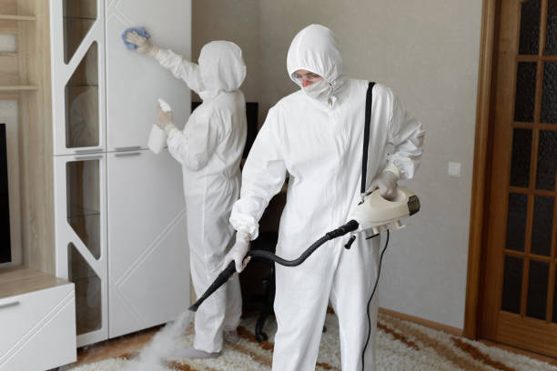 Best Certified Mold Removal  in Edna, TX