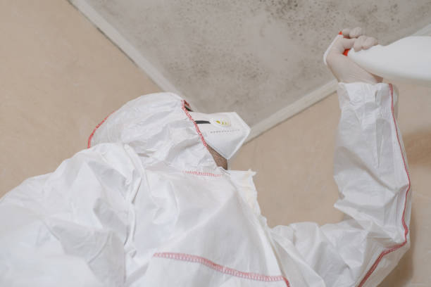 Best Best Mold Removal Companies  in Edna, TX